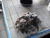 1 stack of crabs