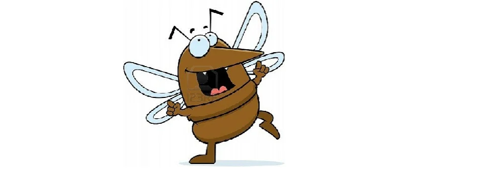 Dancing Mosquito