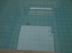 Looking into the DM Residente pool