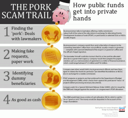 porkbarrelinfographic