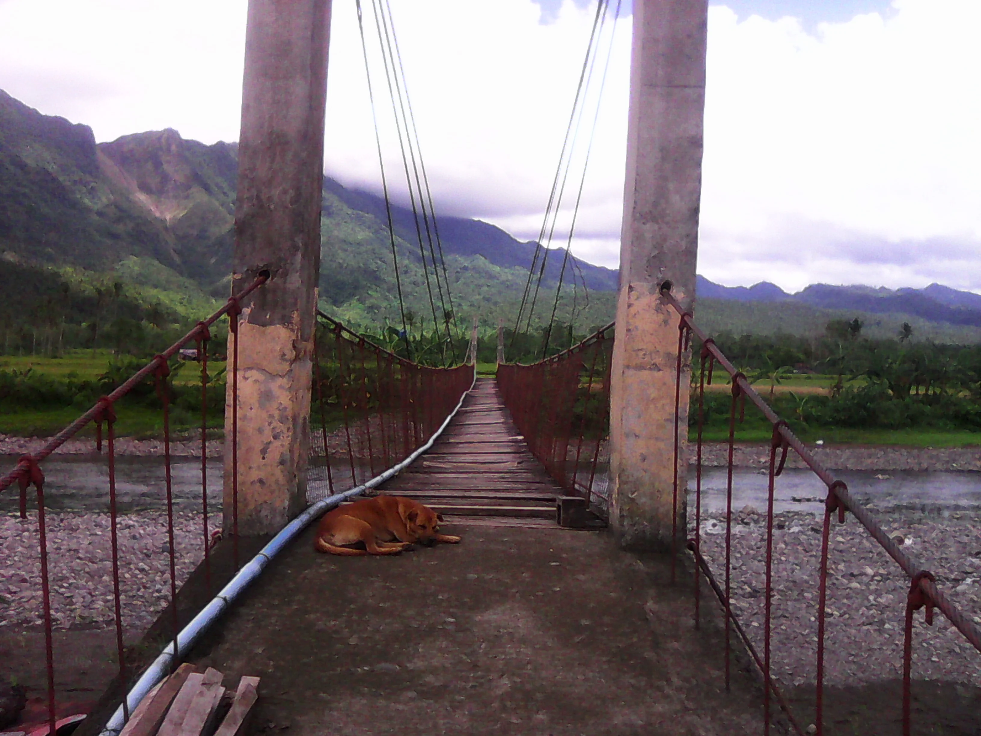 Bridge across Tambis River